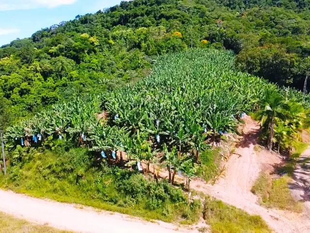 Terreno / Lote para Venda em Luiz Alves/SC Laranjeiras