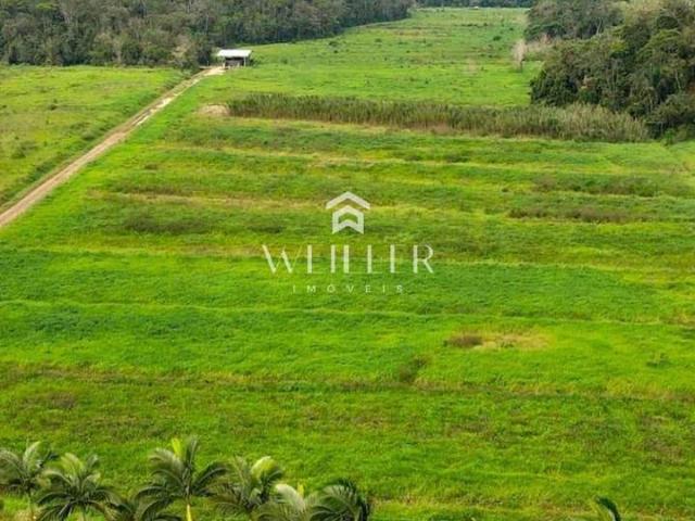 Terreno / Lote para Venda em Luiz Alves/SC Laranjeiras