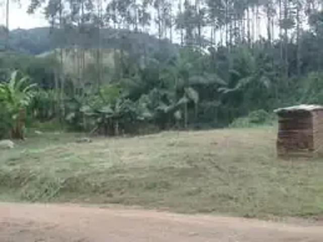 Terreno / Lote para Venda em Luiz Alves/SC Ribeirão Bugre