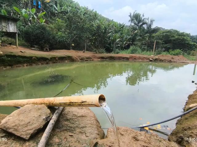 Terreno / Lote para Venda em Luiz Alves/SC Rio do Peixe