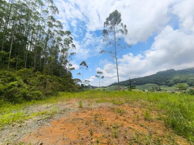 Terreno / Lote para Venda em Luiz Alves/SC Rio do Peixe