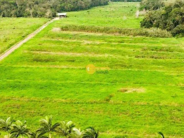 Terreno / Lote para Venda em Luiz Alves/SC Rio do Peixe