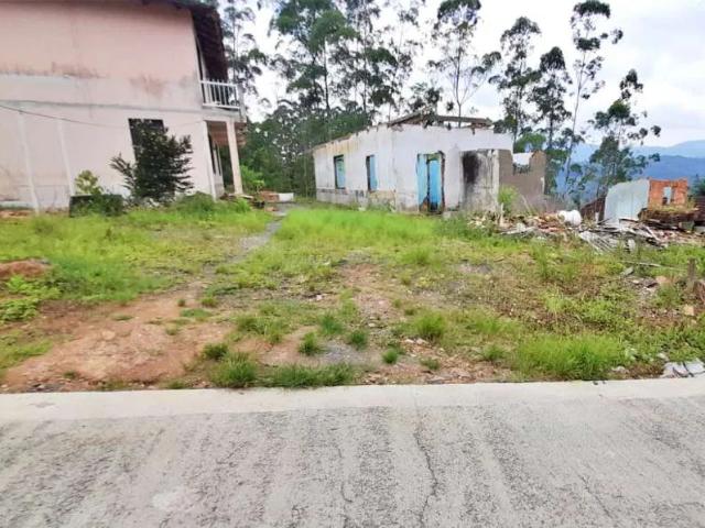 Terreno / Lote para Venda em Luiz Alves/SC Vila do Salto