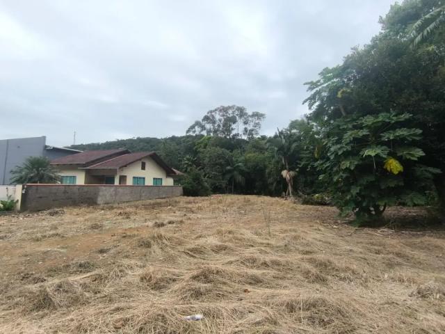 Terreno / Lote para Venda em Luiz Alves/SC Vila do Salto