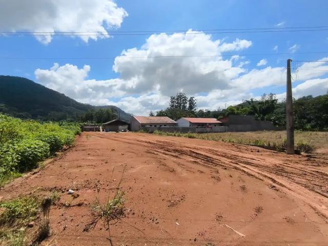 Terreno / Lote para Venda em Luiz Alves/SC Vila Nova