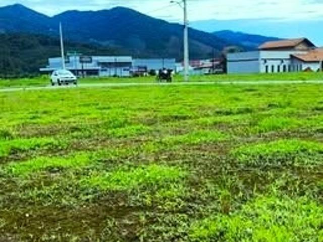 Terreno / Lote para Venda em Luiz Alves/SC Vila Nova
