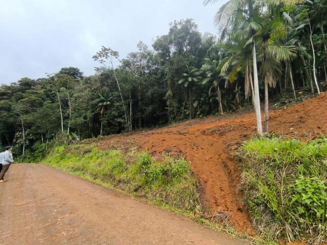 Terreno / Lote para Venda em Luiz Alves/SC Zona Rural