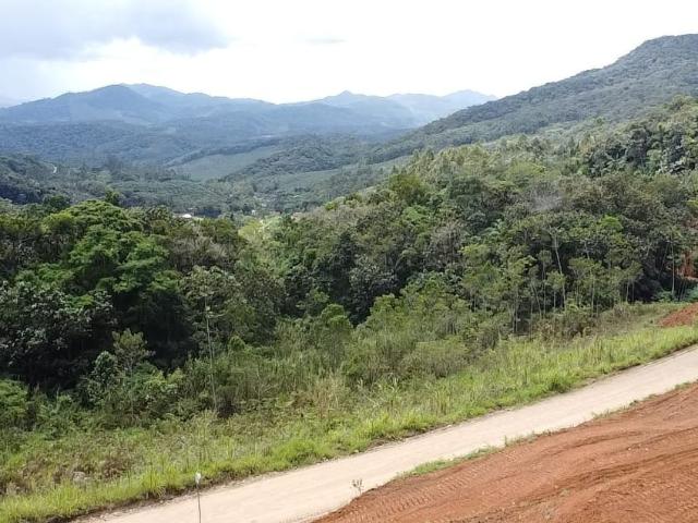 Terreno / Lote para Venda em Luiz Alves/SC Zona Rural