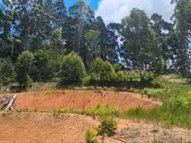 Terreno / Lote para Venda em Luiz Alves/SC Zona Rural