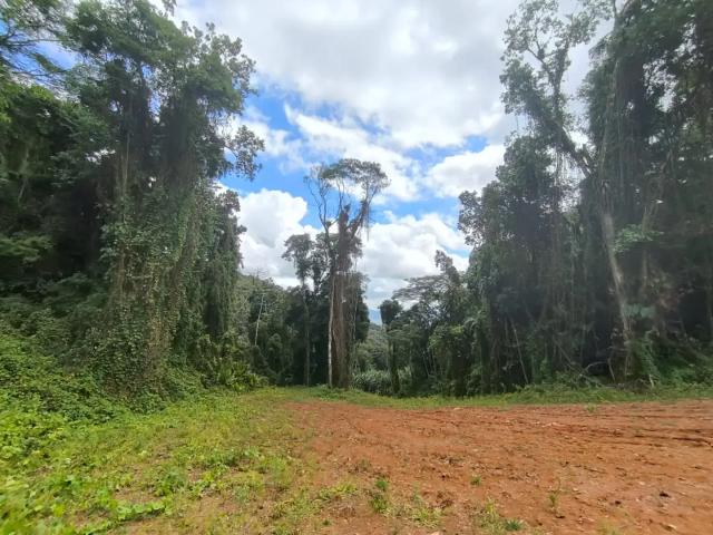Terreno / Lote para Venda em Luiz Alves/SC Zona Rural