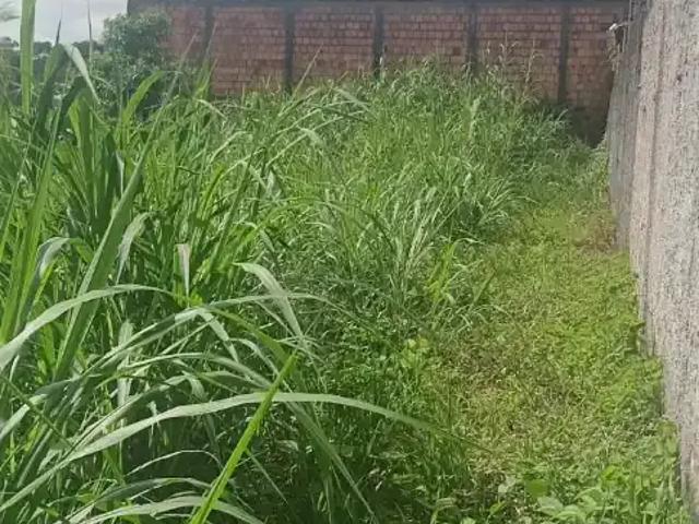 Terreno / Lote para Venda em Manaus/AM Tarumã
