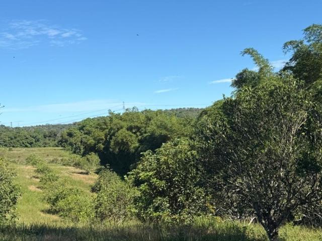 Terreno / Lote para Venda em Manaus/AM Tarumã