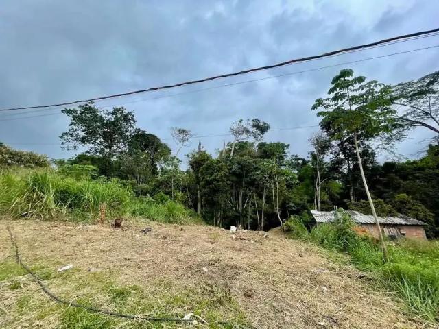 Terreno / Lote para Venda em Manaus/AM Tarumã