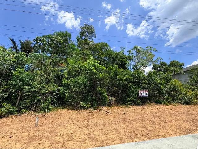 Terreno / Lote para Venda em Manaus/AM Tarumã