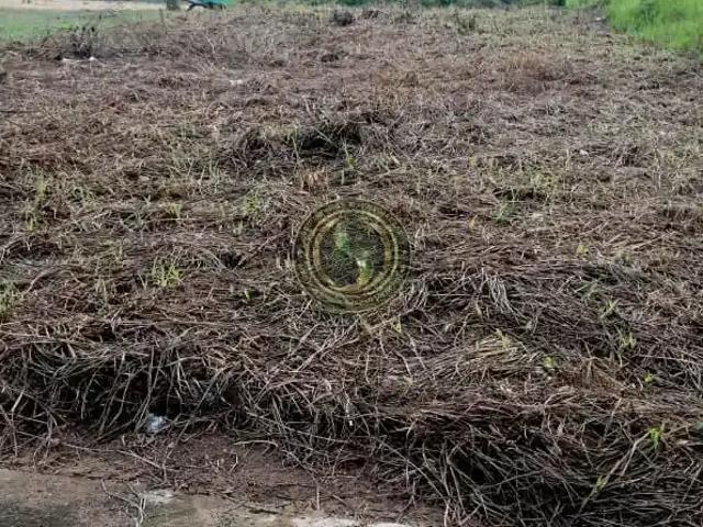 Terreno / Lote para Venda em Manaus/AM Tarumã Açu