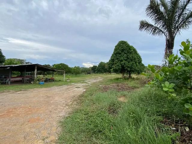 Terreno / Lote para Venda em Manaus/AM Tarumã Açu