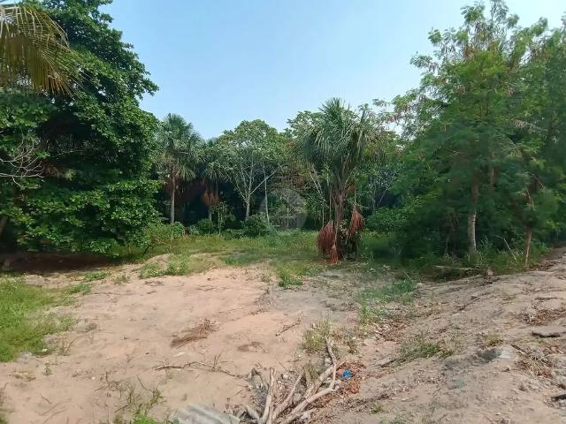 Terreno / Lote para Venda em Manaus/AM Colina do Aleixo