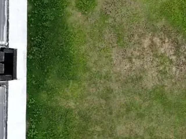 Terreno / Lote para Venda em Manaus/AM Colônia Terra Nova