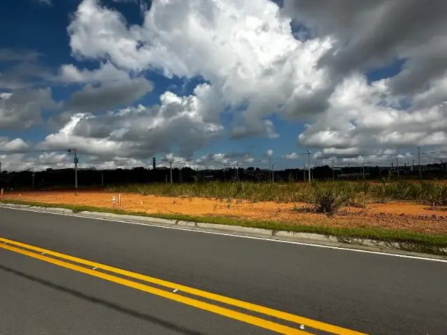 Terreno / Lote para Venda em Manaus/AM Flores