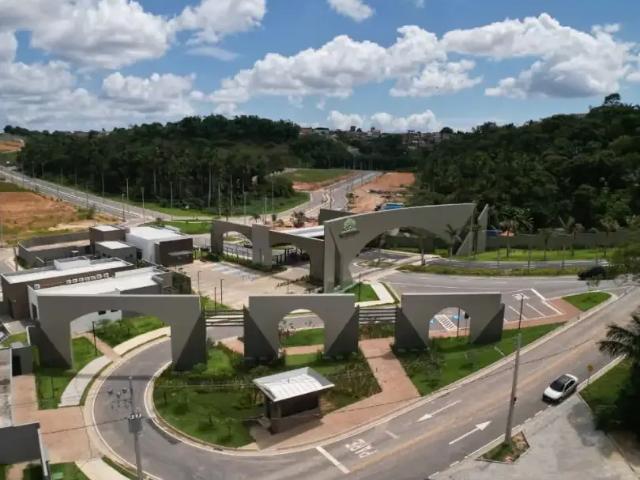 Terreno / Lote para Venda em Manaus/AM Flores