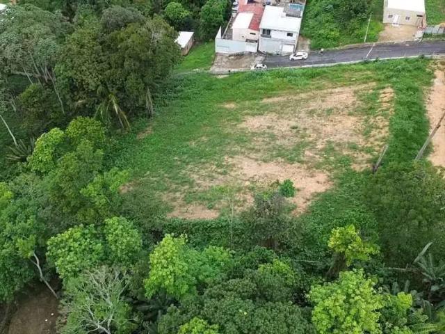 Terreno / Lote para Venda em Manaus/AM Novo Aleixo