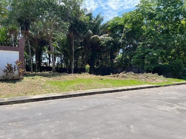 Terreno / Lote para Venda em Manaus/AM Ponta Negra