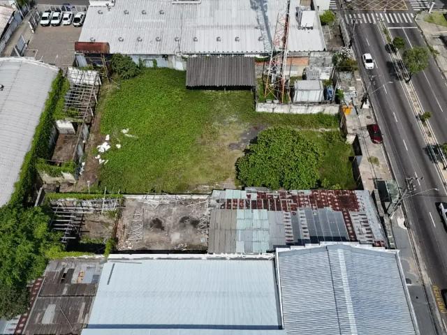 Terreno / Lote para Venda em Manaus/AM Raiz