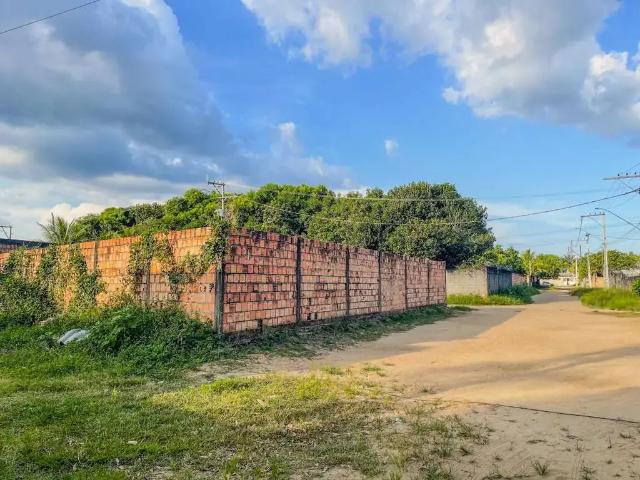 Terreno / Lote para Venda em Manaus/AM Santa Etelvina