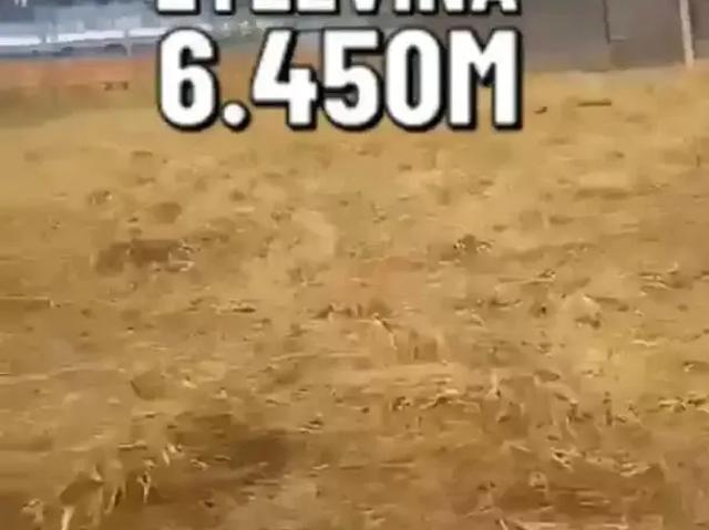 Terreno / Lote para Venda em Manaus/AM Santa Etelvina