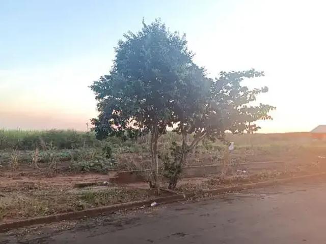 Terreno / Lote para Venda em Mandaguaçu/PR Jardim Catuai