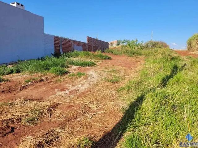 Terreno / Lote para Venda em Mandaguaçu/PR Jardim Catuai