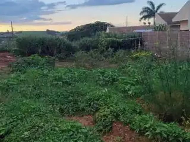 Terreno / Lote para Venda em Mandaguaçu/PR Jardim Catuai