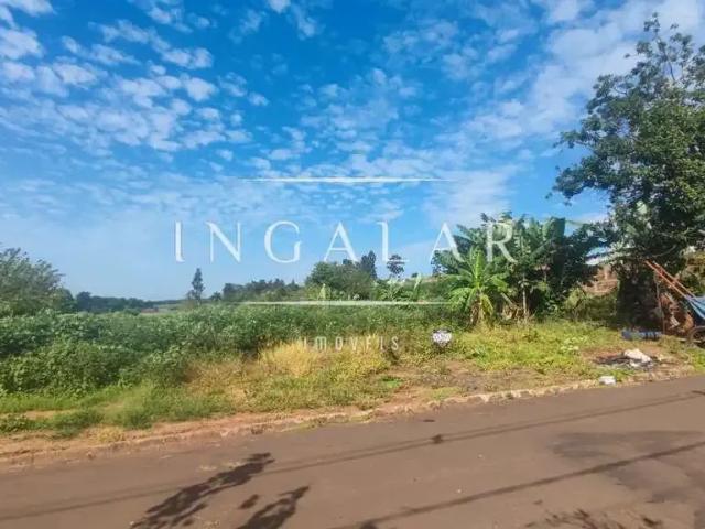 Terreno / Lote para Venda em Mandaguaçu/PR Morro do Cipó