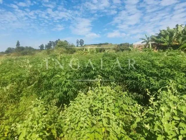 Terreno / Lote para Venda em Mandaguaçu/PR Morro do Cipó