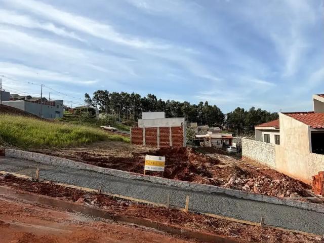 Terreno / Lote para Venda em Mandaguaçu/PR Pulinópolis