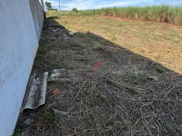 Terreno / Lote para Venda em Mandaguaçu/PR Zona Oeste 1 Quartos