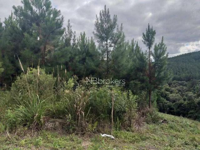 Terreno / Lote para Venda em Mandirituba/PR Areia Branca dos Assis