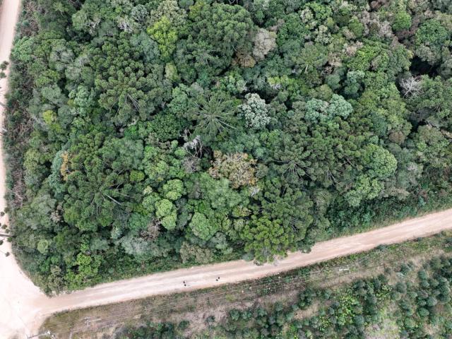 Terreno / Lote para Venda em Mandirituba/PR Areia Branca dos Assis