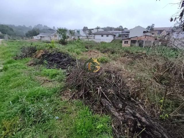 Terreno / Lote para Venda em Mandirituba/PR Areia Branca dos Assis