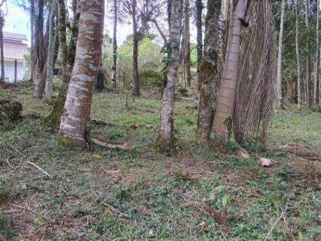 Terreno / Lote para Venda em Mandirituba/PR Areia Branca dos Assis