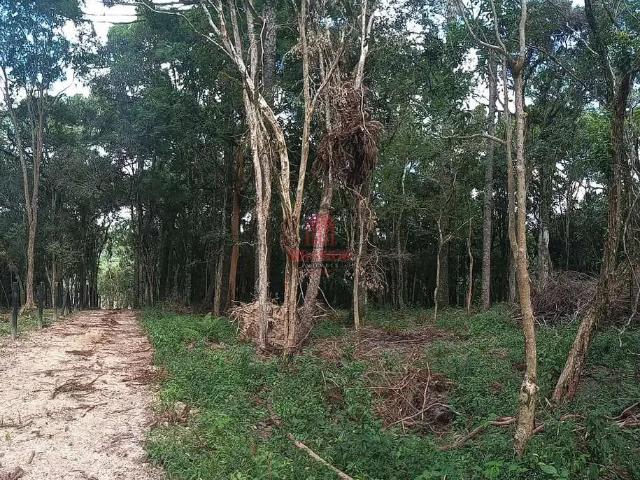Terreno / Lote para Venda em Mandirituba/PR Areia Branca dos Assis