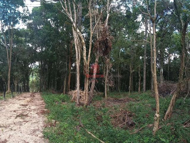 Terreno / Lote para Venda em Mandirituba/PR Areia Branca dos Assis