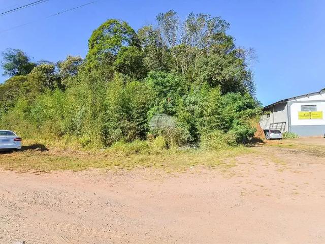 Terreno / Lote para Venda em Mandirituba/PR Centro