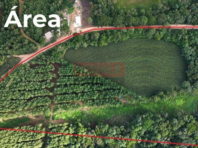 Terreno / Lote para Venda em Mandirituba/PR Centro