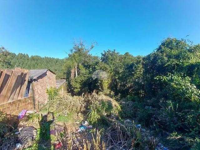 Terreno / Lote para Venda em Mandirituba/PR Centro