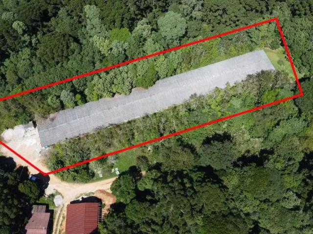 Terreno / Lote para Venda em Mandirituba/PR Lagoinha