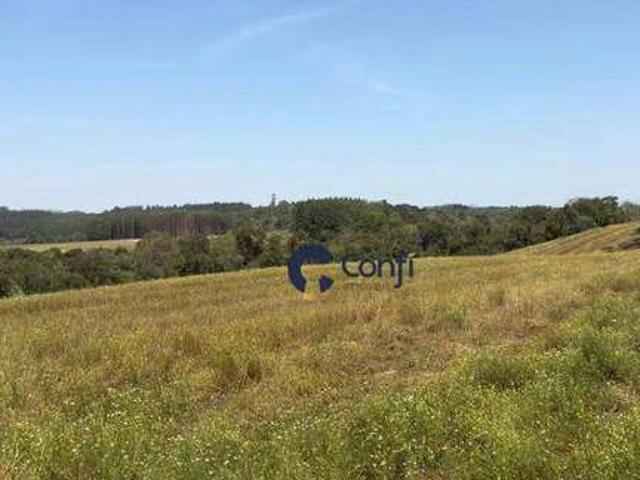 Terreno / Lote para Venda em Mandirituba/PR Zona Rural