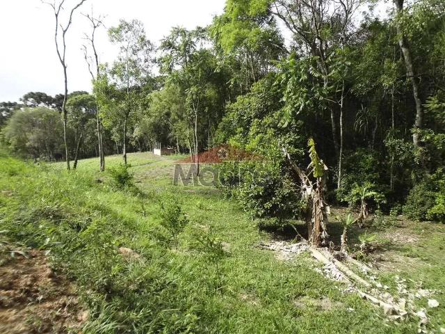 Terreno / Lote para Venda em Mandirituba/PR Zona Rural