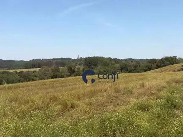 Terreno / Lote para Venda em Mandirituba/PR Zona Rural