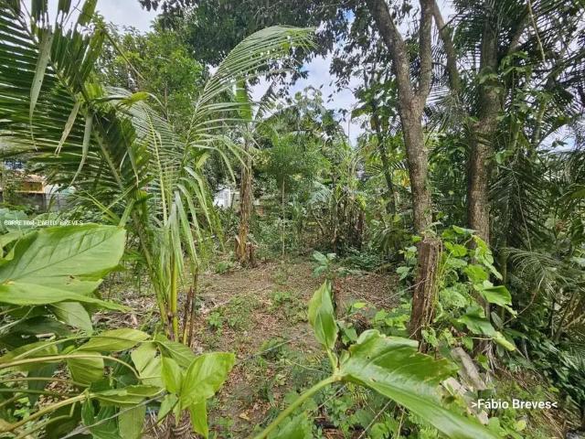 Terreno / Lote para Venda em Mangaratiba/RJ Vila Muriqui